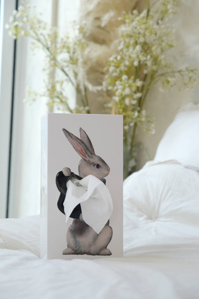 Wonder Rabbit Tissue Box