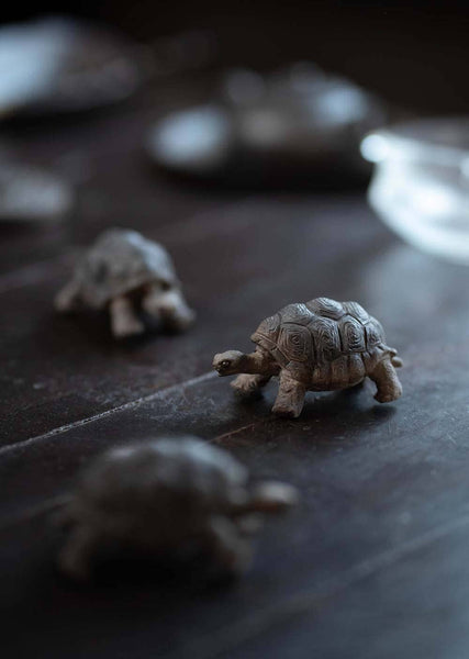 Gohobi Handmade Ceramic YiXing Clay Land Turtle Ornament Tea