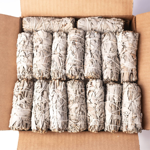 California White Sage (Salvia Apiana) Bulk (100 PACK)