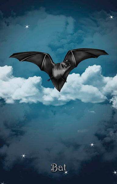 The Witch's Oracle, 2nd Edition