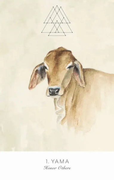 Land Sky Oracle: A Journey Through Patanjali's Eight Limbs