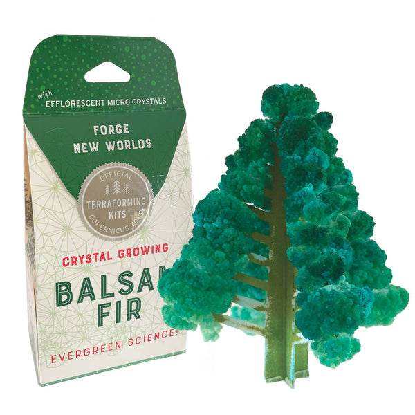 Crystal Growing Balsam Fir |
Christmas STEM craft kit