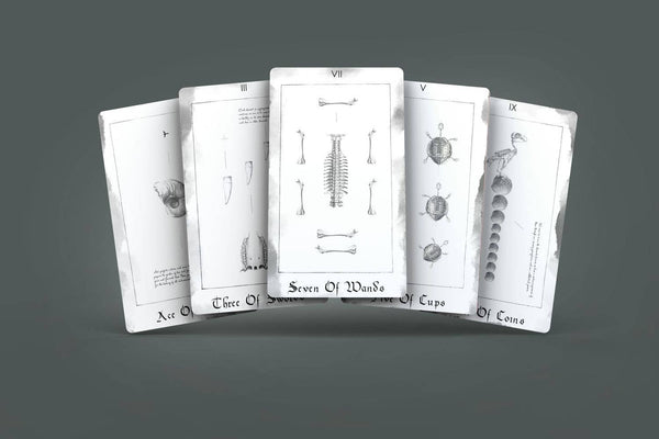 Paracelsus Dreams Tarot White Edition