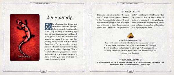 The Witch's Oracle, 2nd Edition