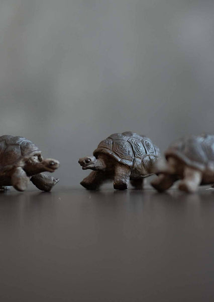 Gohobi Handmade Ceramic YiXing Clay Land Turtle Ornament Tea