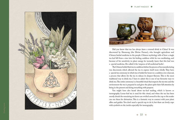 Celtic Cauldron by Nicola  McIntosh