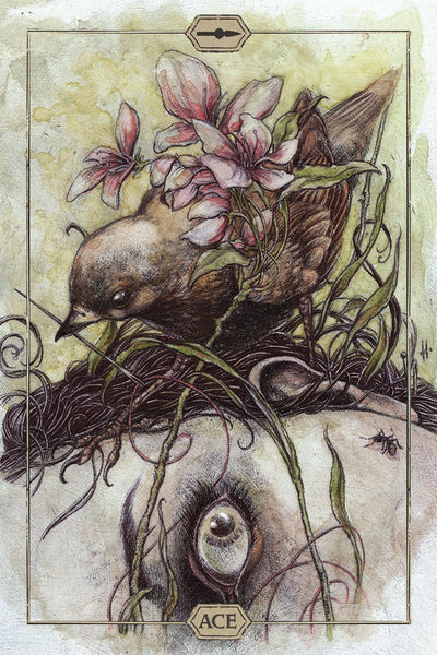 Hush Tarot Cards Us Games Systems