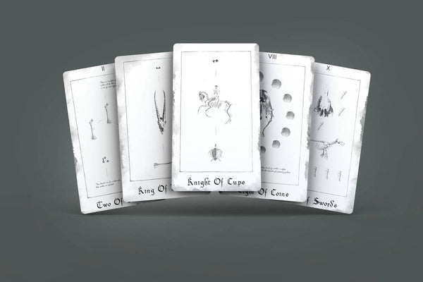 Paracelsus Dreams Tarot White Edition