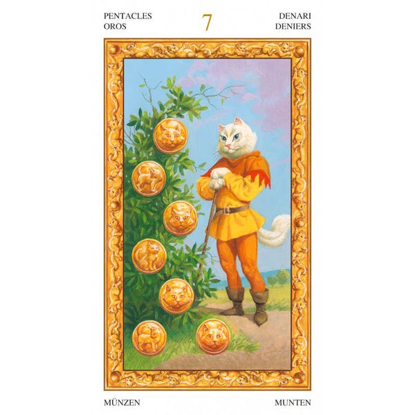 Tarot Of White Cats Cards Deck Lo Scarabeo