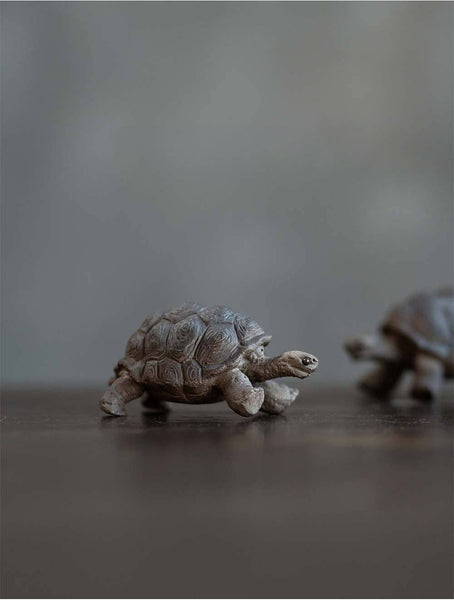Gohobi Handmade Ceramic YiXing Clay Land Turtle Ornament Tea