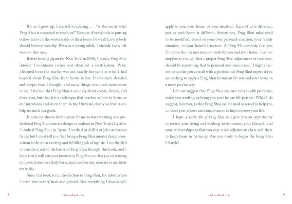 A Little Bit of Feng Shui by Ai Matsui Johnson
