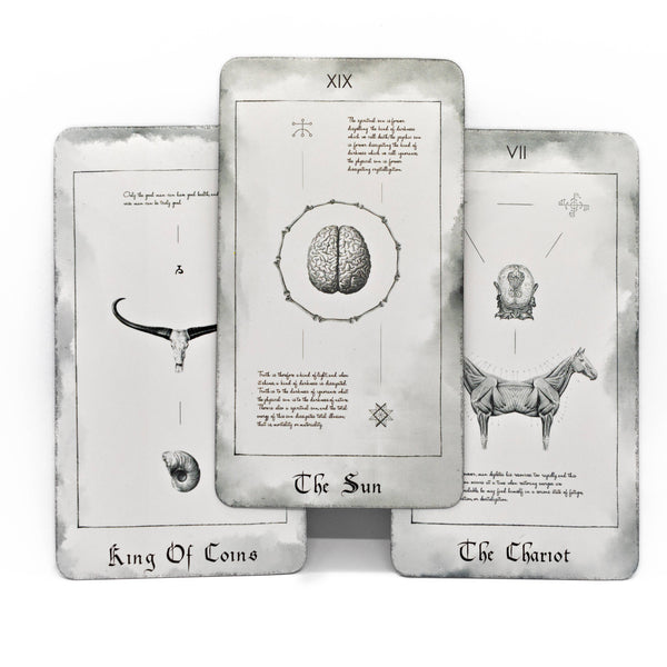 Paracelsus Dreams Tarot White Edition