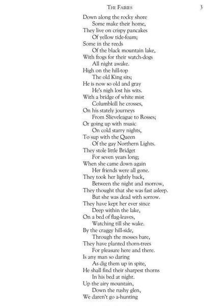 Irish Fairy & Folk Tales