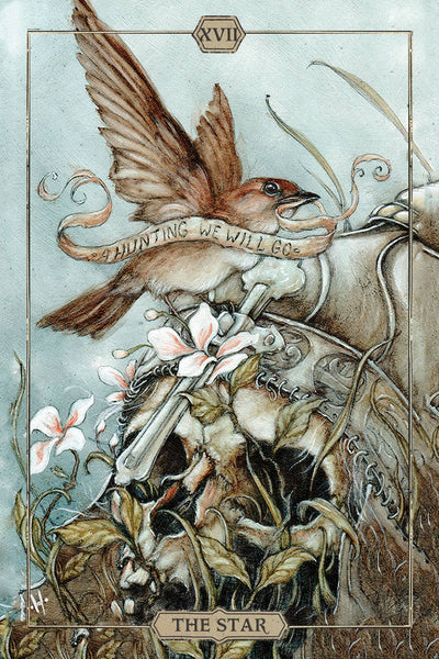 Hush Tarot Cards Us Games Systems