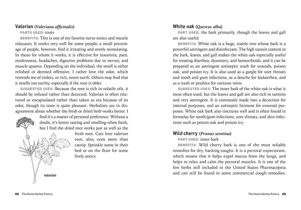 Herbs For Common Ailments