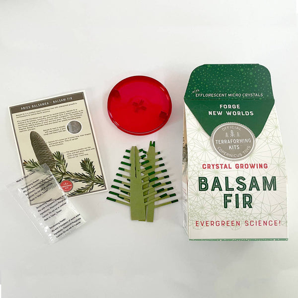 Crystal Growing Balsam Fir |
Christmas STEM craft kit