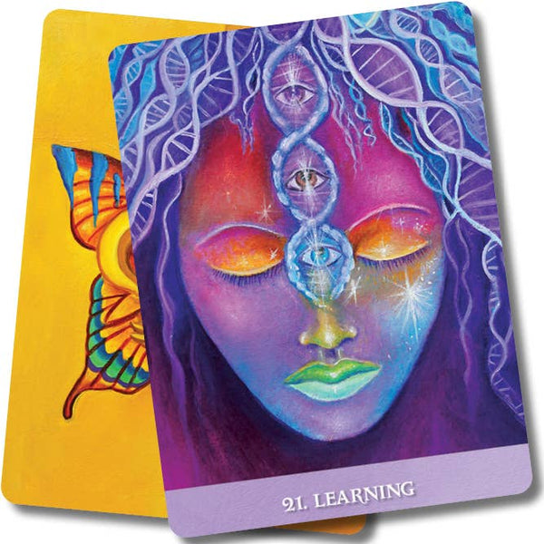 The New Orleans Oracle Cards Us Games Systems