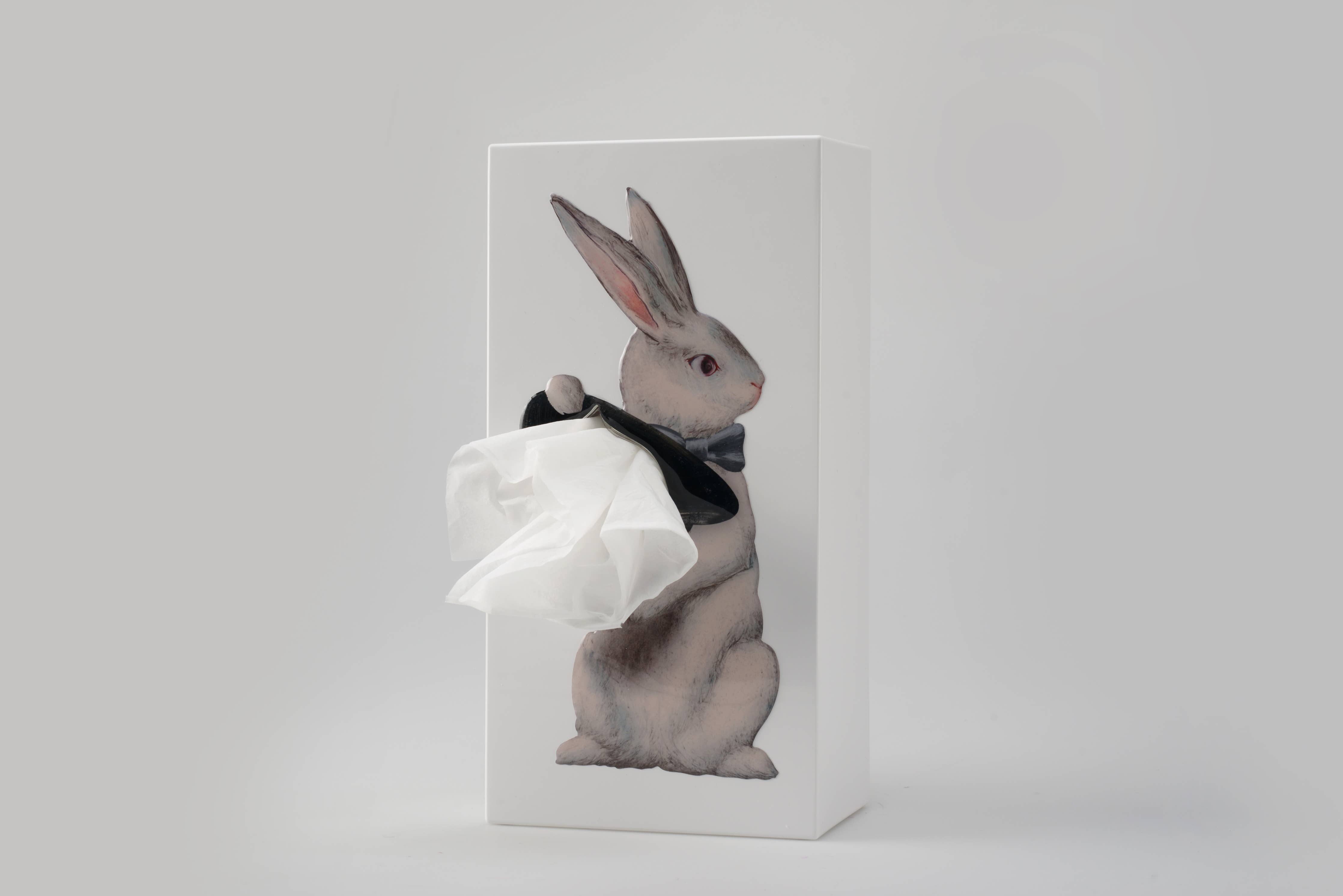 A Rabbit Tissue Wonder Rabbit Tissue Box - Bottom of the Cup
