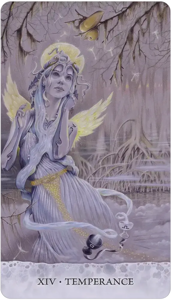 Tarot of Tides: The Adventures of a Duck Named Bob