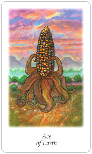Vision Quest Tarot Deck - Ace of Earth