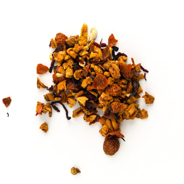 A Stroll in Audubon Park