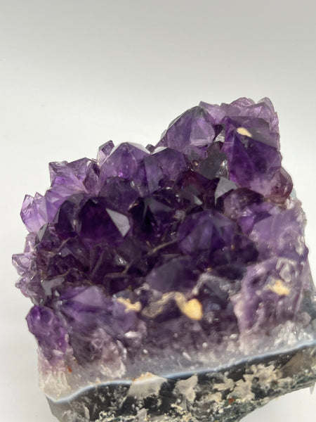 Amethyst Cluster