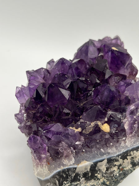 Amethyst Cluster